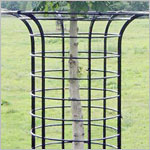 Tree Guard